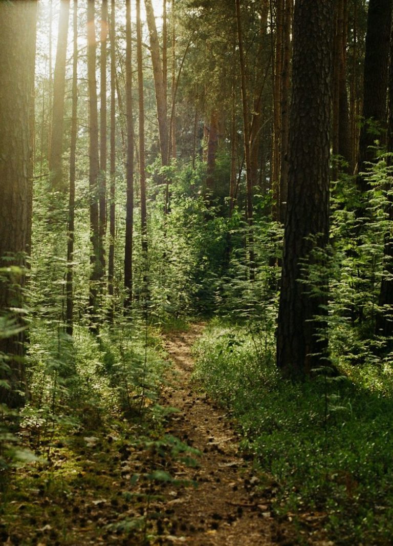 Bunte Pflastersteine in den Farben Rot, Pink, Blau, Grün und Gelb angeordnet.